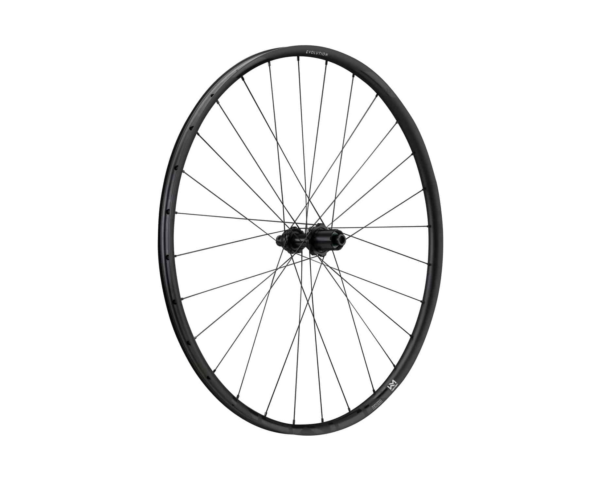 Wheel Evolution SL X.R.25 29" 28h Fade R SP CL 12x142 SH