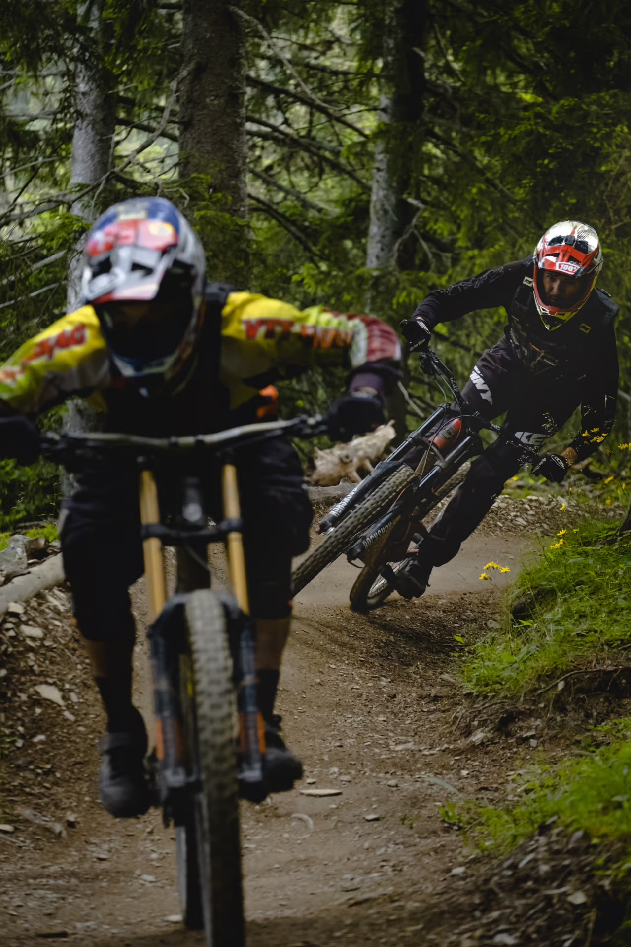 Mountainbike