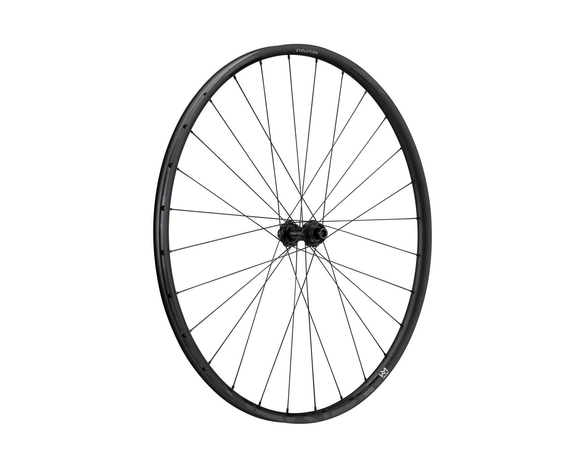 Wheel Evolution SL X.R.25 29" 28h Fade R SP CL 12x100