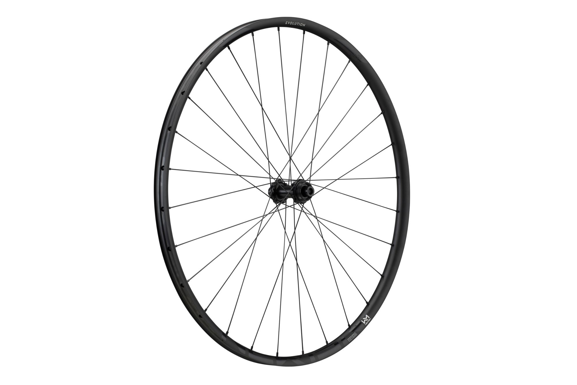 Wheel Evolution SL X.R.25 29" 28h Fade R SP CL 12x100