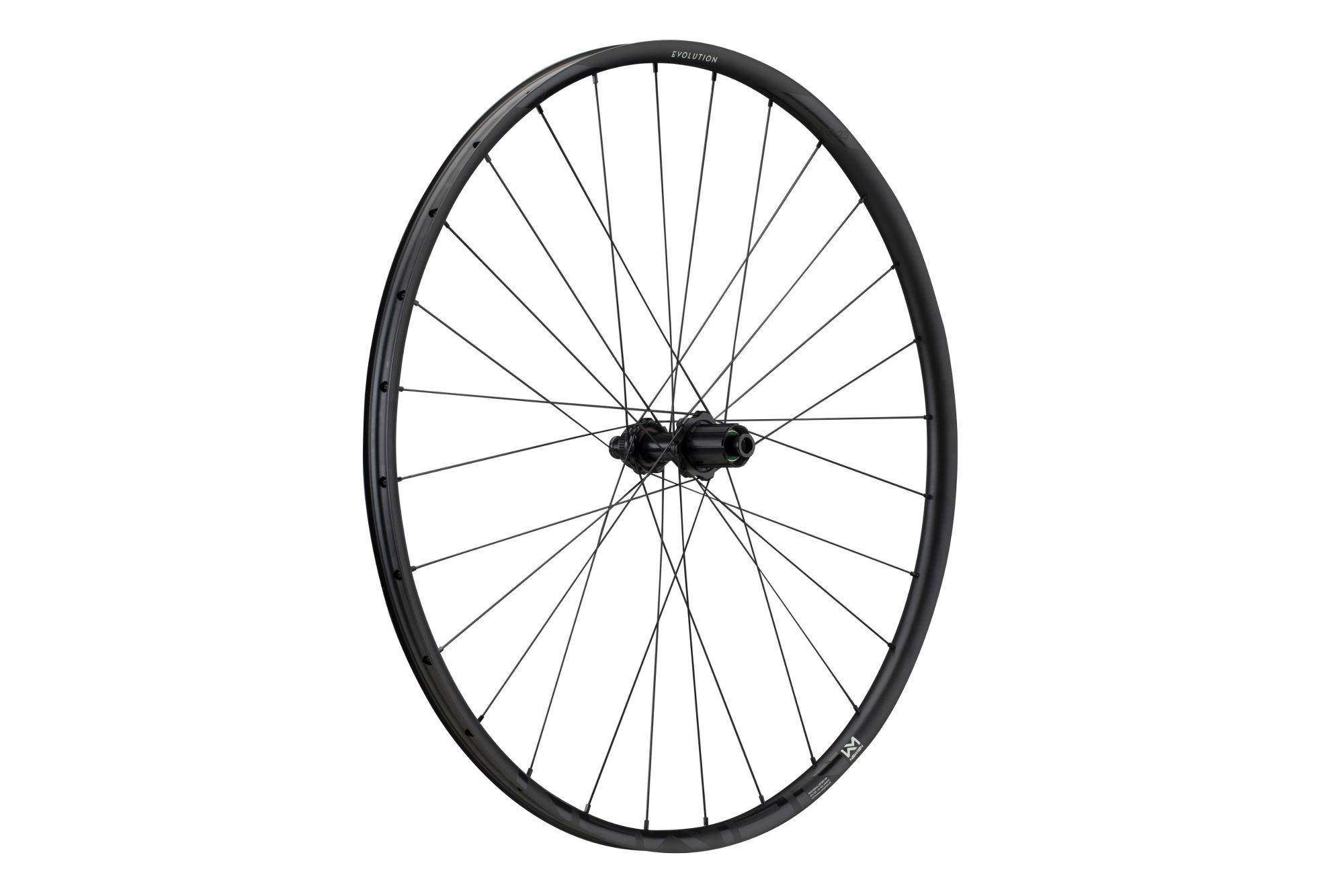 Wheel Evolution SL X.R.25 29" 28h Fade R SP CL 12x142 SH