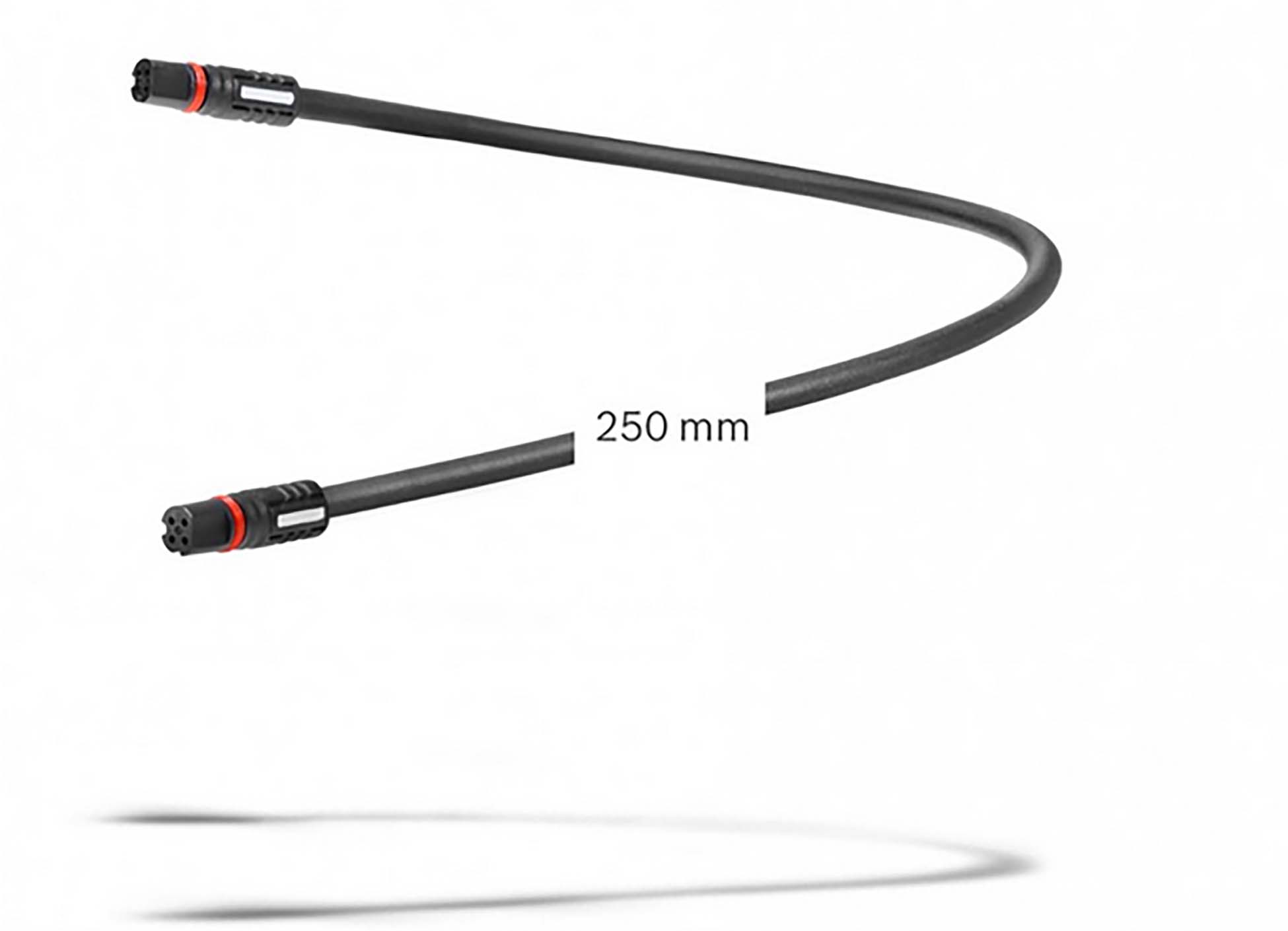 Displaykabel 250 mm (BCH3611_250)
