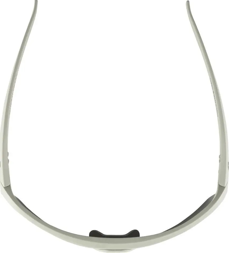 ALPINA Sportbrille TURBO HR cool-grey matt / mirror black