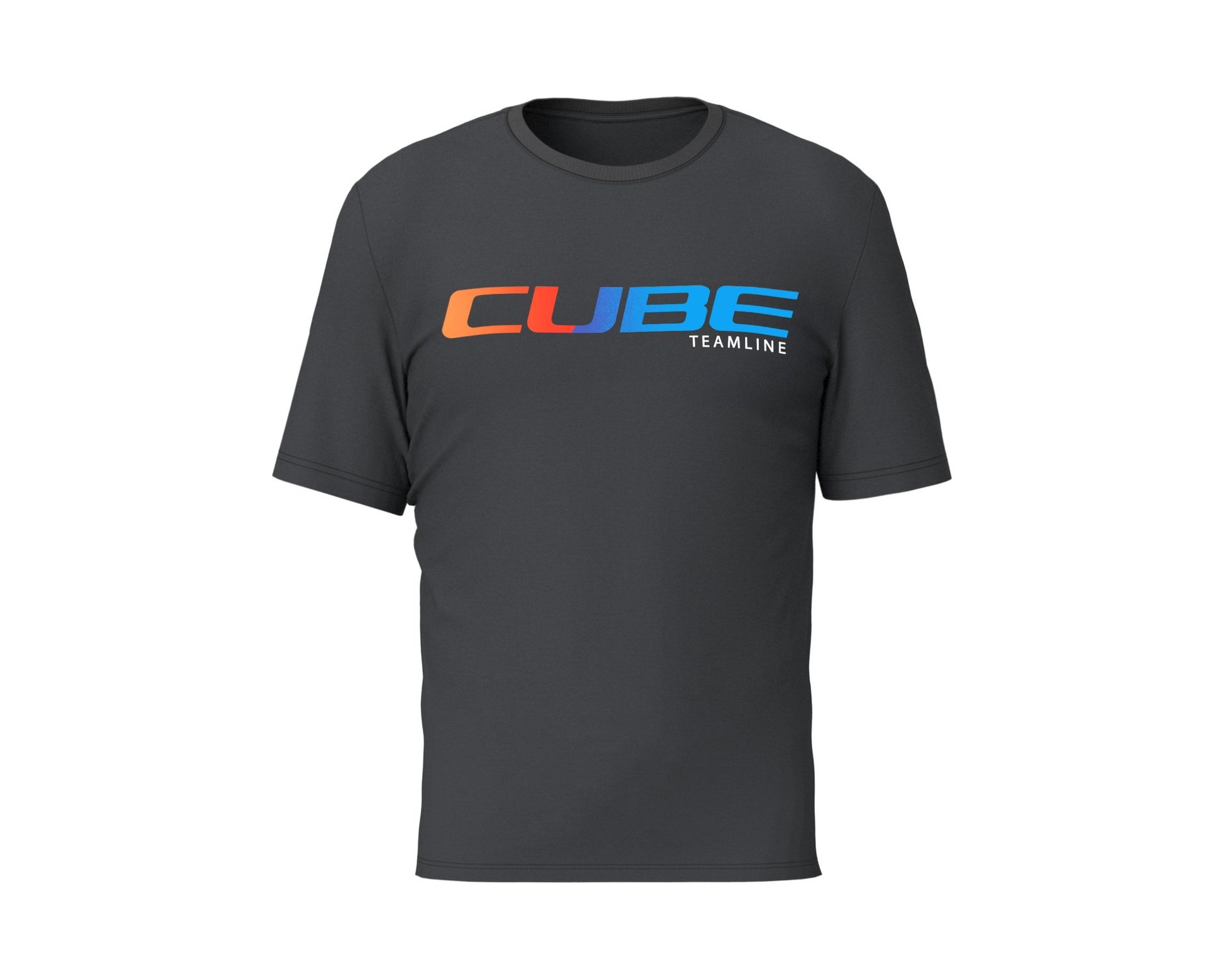 Organic T-Shirt Teamline black