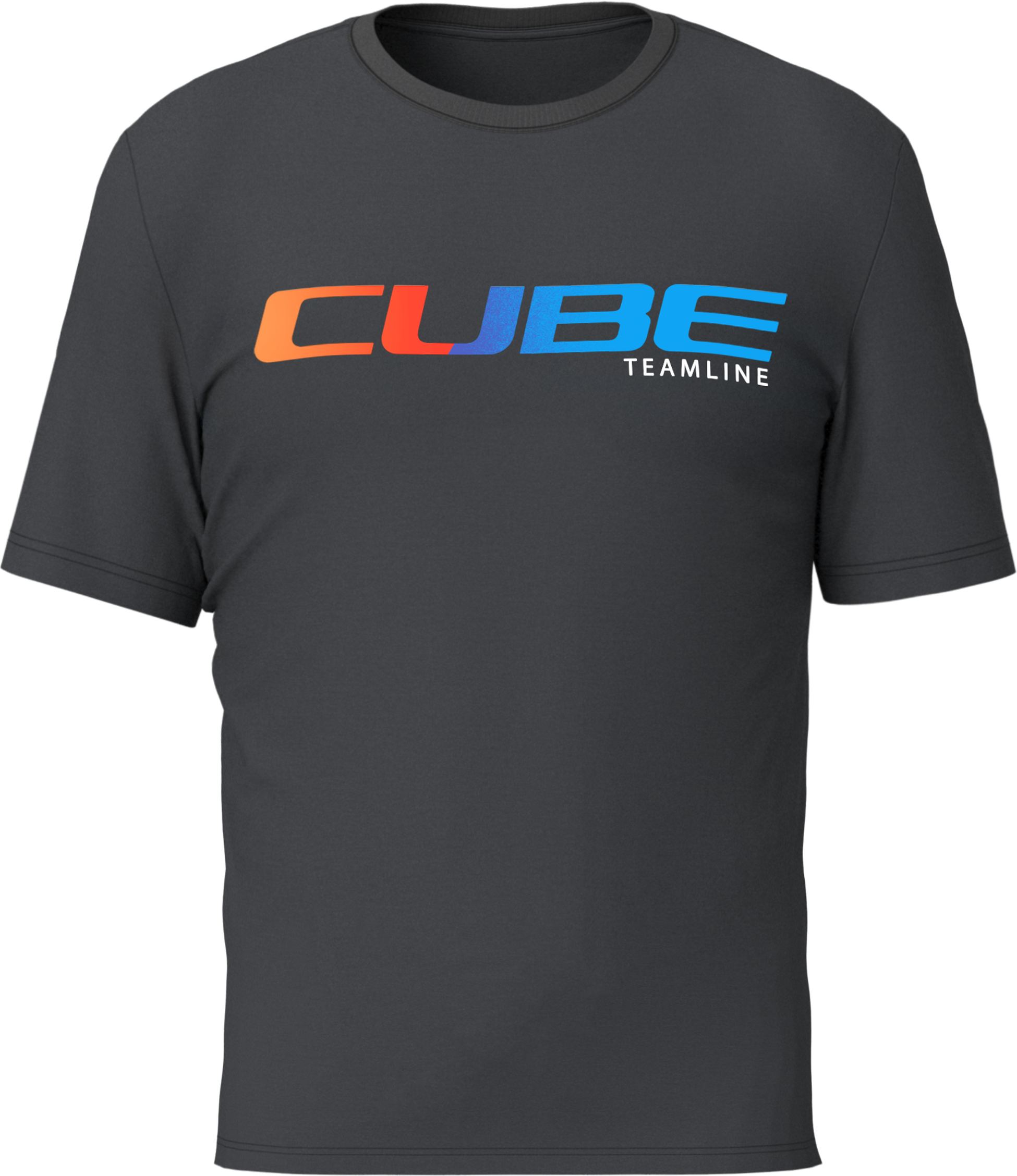 Organic T-Shirt Teamline black